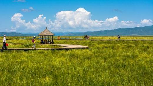 【甘南3日】夏河拉卜楞寺+桑科草原+郎木寺+花湖+扎尕那+临夏东公馆3日游 商品图2