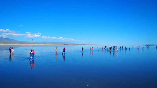 【青海3日】青海湖+塔尔寺+互助土族园+茶卡盐湖+日月山+倒淌河3日游 商品图5
