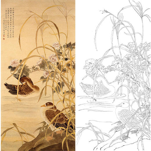 陈之佛竖幅工笔花鸟白描底稿浴雁多种白描尺寸可选qa41