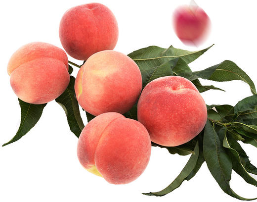 云南新鲜油桃 商品图2