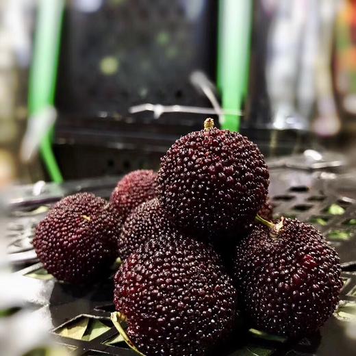 杨梅鲜果 商品图0