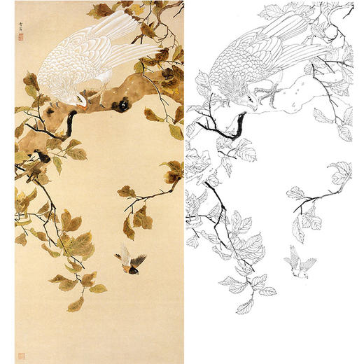 陈之佛竖幅工笔花鸟白描底稿《鹰雀图》-多种白描尺寸可选-QA40 商品图0