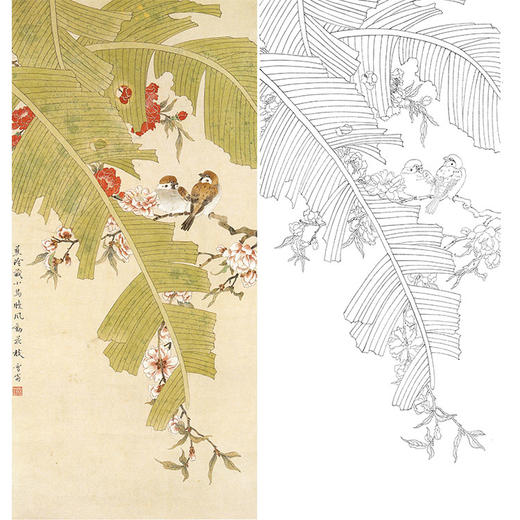 陈之佛竖幅工笔花鸟白描底稿蕉荫藏小鸟多种白描尺寸可选qa26