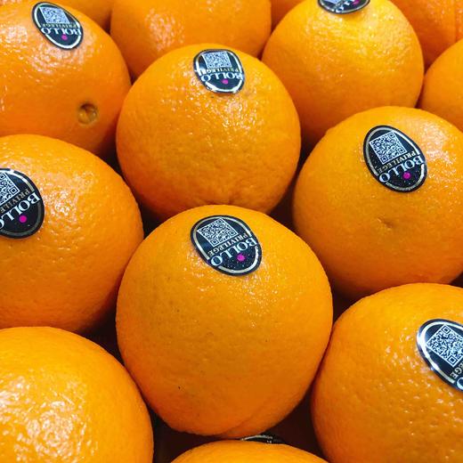 【西班牙 进口橙】西班牙进口橙，甜度高，水分多，好橙子切块也很甜嫩，榨汁也合适！ 商品图6