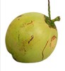新鲜椰青 海南椰子 椰青带皮椰子文昌三亚 新鲜水果椰子 现摘 青椰子 商品缩略图0