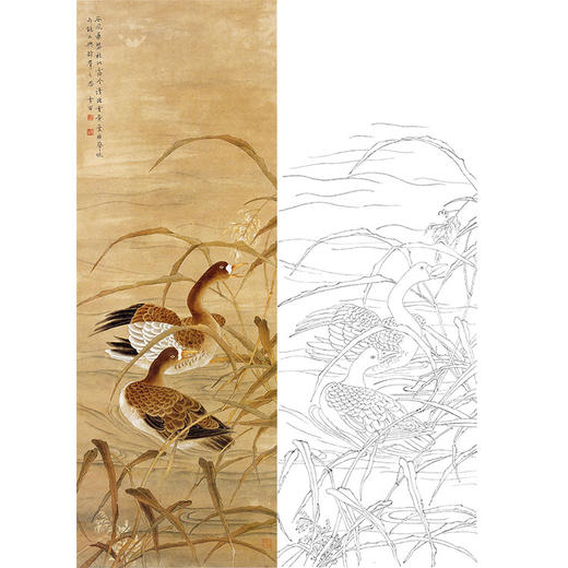 陈之佛竖幅工笔花鸟白描底稿秋江双雁qa36