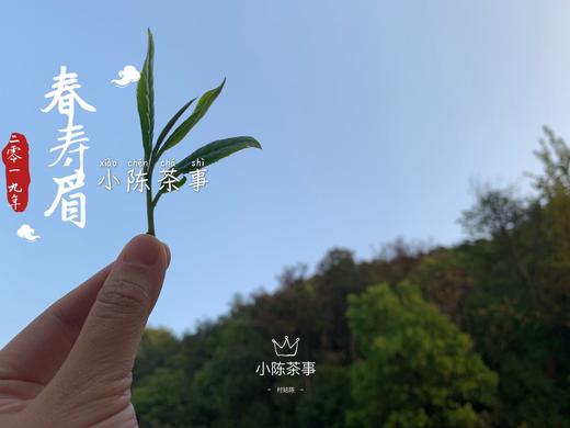 【会员特惠】2019高山谷雨茶，从盖子上，到茶汤里，都是慢慢清甜的花香 商品图1