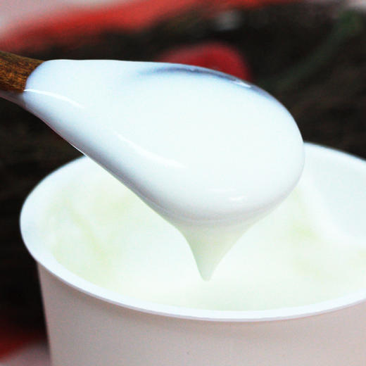 蒙古风味酸奶150g6罐