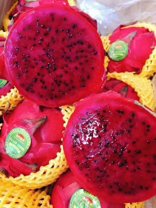 海南  蜜宝红心火龙果2个（约1.5斤左右） 商品图2