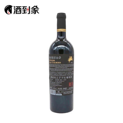 搏颂风之子干红葡萄酒 商品图1