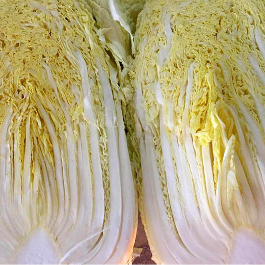 有机胶州大白菜2kg/礼盒装（有机蔬菜、中国有机认证） 商品图3
