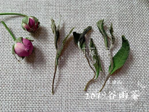 【会员特惠】2019高山谷雨茶，从盖子上，到茶汤里，都是慢慢清甜的花香 商品图3