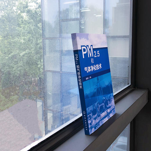 PM2.5和气体净化技术 商品图2