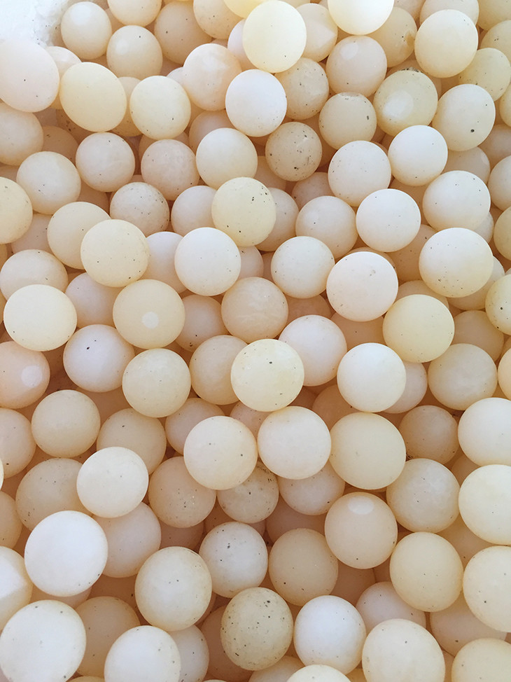 m89美味又营养的甲鱼蛋