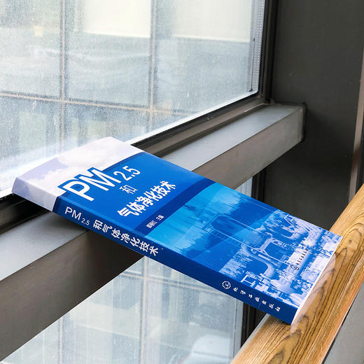 PM2.5和气体净化技术 商品图3