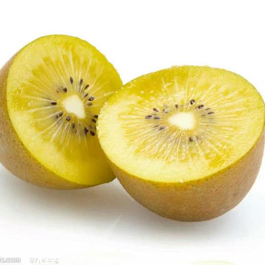 新西兰佳沛33#金果6个/份 商品图0