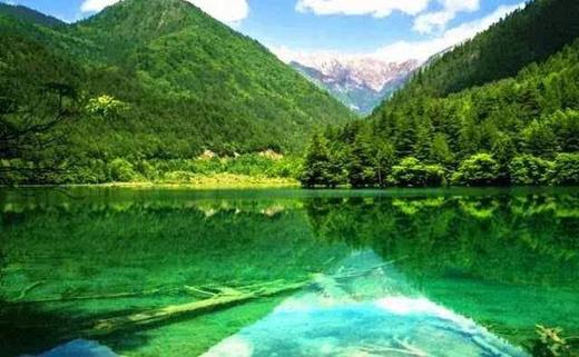 【陇南3日】青木川古镇+官鹅沟+鹅嫚沟+哈达铺长征纪念馆动车去火车回3日游 商品图6