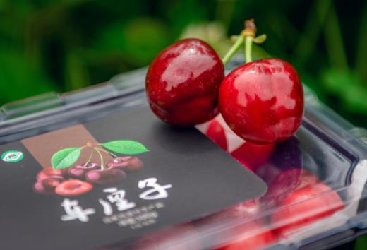 嶲州红露天车厘子 商品图4