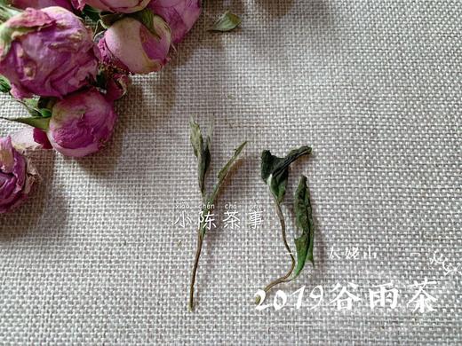 【会员特惠】2019高山谷雨茶，从盖子上，到茶汤里，都是慢慢清甜的花香 商品图2