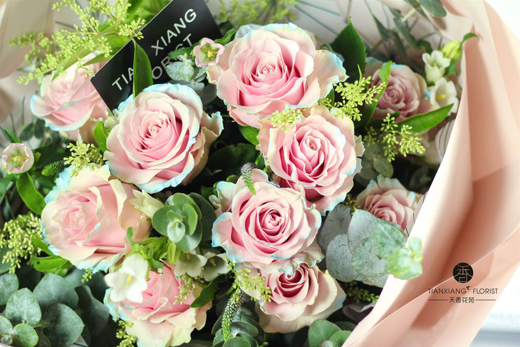 同城配送花礼伊莎贝尔