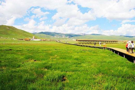 【甘南4日】拉卜楞寺+桑科草原+郎木寺+唐克+花湖+若尔盖+扎尕那4日游 商品图3