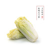 有机胶州大白菜2kg/礼盒装（有机蔬菜、中国有机认证） 商品缩略图0