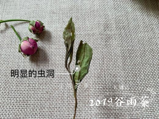 【会员特惠】2019高山谷雨茶，从盖子上，到茶汤里，都是慢慢清甜的花香 商品图4