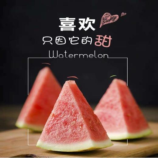 海南 麒麟瓜 单颗 大瓜 商品图1