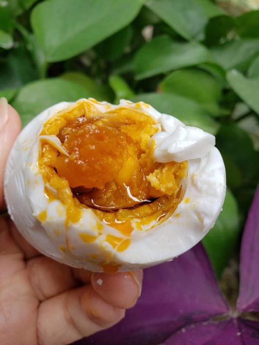 2025新产季｜江苏高邮湖散养麻鸭鸭蛋 咸鸭蛋｜扁担姐推荐 商品图3