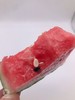 无籽麒麟瓜     皮薄，汁 多，甘甜，爽口再加上个头适中成为了西瓜中德王牌，深受市民喜爱 商品缩略图1