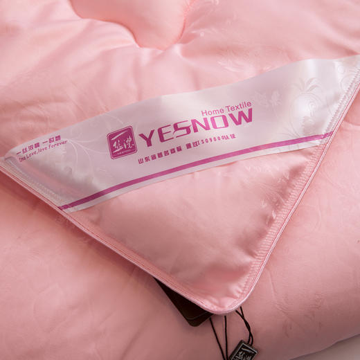 新一代大豆纤维被芯 30%大豆蛋白纤维 蓬松柔软加厚保暖冬被芯 商品图2