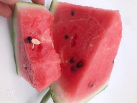 无籽麒麟瓜     皮薄，汁 多，甘甜，爽口再加上个头适中成为了西瓜中德王牌，深受市民喜爱