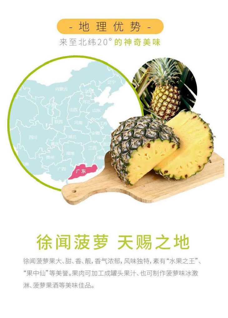 徐闻小菠萝5斤装 香水菠萝 新鲜水果小菠萝 清甜可口香甜美味