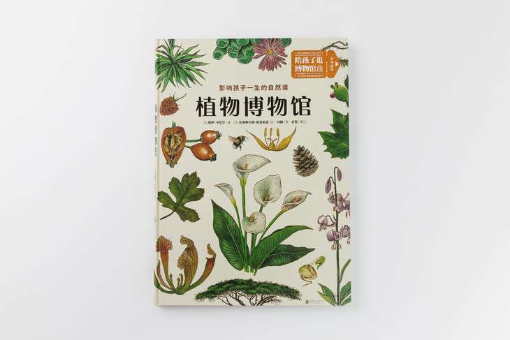 植物博物馆 | 影响孩子一生的自然课