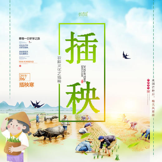 【妈网研学】6/7 6/8 农耕文化研学体验/插秧体验，一粒米的长成！ 知节气  研民俗  识农具  下稻田，就没有我小小插秧农get不到的点！ 商品图0