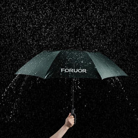 FU-HJI051 环扣二折伞