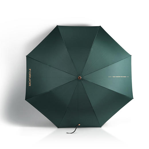 FU-HFI073 绅士伞 商品图1