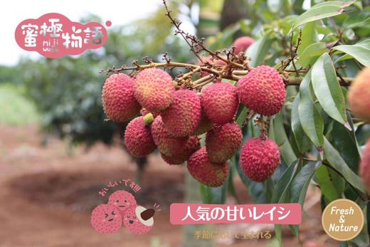 荔枝 商品图1