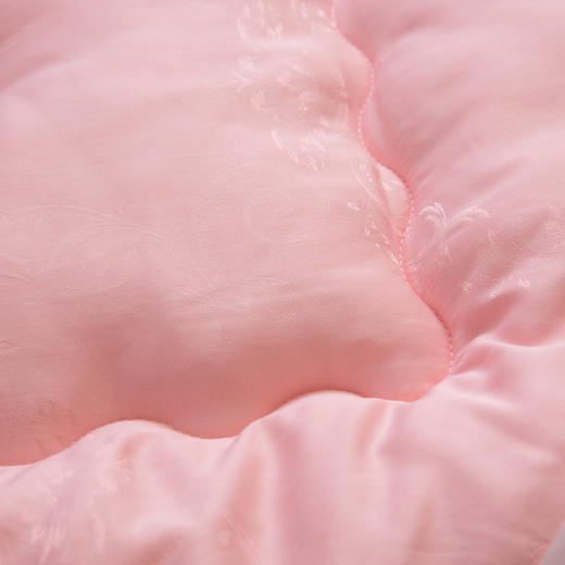 新一代大豆纤维被芯 30%大豆蛋白纤维 蓬松柔软加厚保暖冬被芯 商品图5