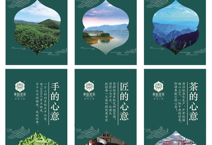 东牌 汉中仙毫 礼盒 明前茶 午子仙毫 雀舌绿茶 128g