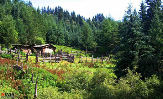 【临潭2日】冶力关+美仁草原+冶海天池+赤壁幽谷2日游 商品图5