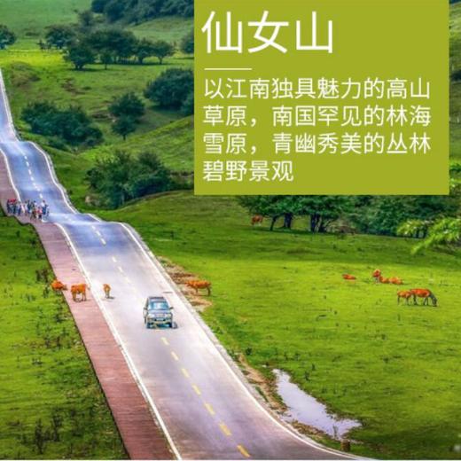 重庆武隆2日深度游－天生三桥+龙水峡地缝/仙女山/纯玩不进店免费接驳 商品图1