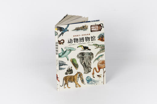 动物博物馆 | 影响孩子一生的生命课 商品图2