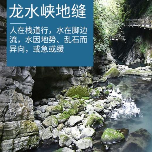 重庆武隆2日深度游－天生三桥+龙水峡地缝/仙女山/纯玩不进店免费接驳 商品图3