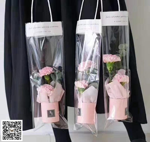 手提网红透明袋（10个/包） 商品图0