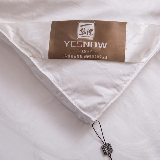 皇爵羽绒被芯全棉90白鹅绒被子加厚单双人春秋冬被空调被 商品图4
