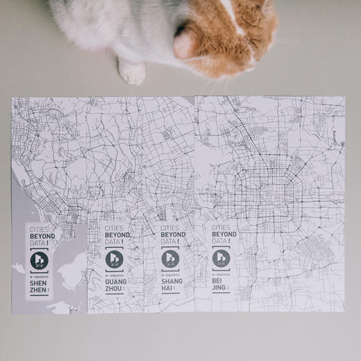 城市的10000种可能 限定城市地图挂画 商品图0