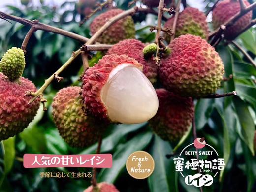 荔枝 商品图2