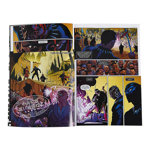 黑豹:一个国家在我们的脚下 英文原版 Black Panther: A Nation Under Our Feet Book 1 漫威 漫画 商品图4