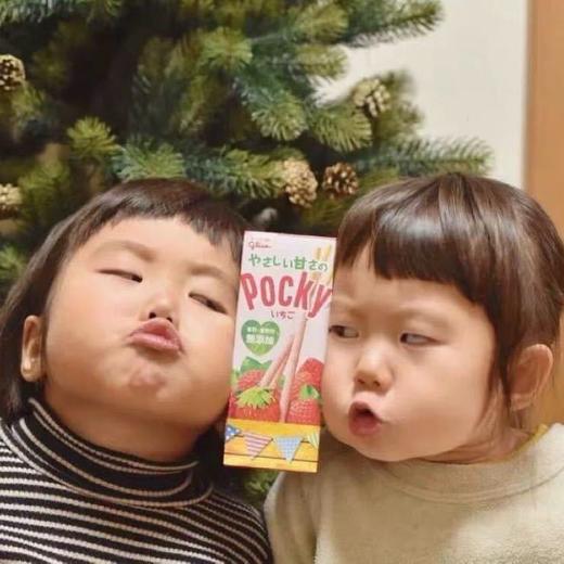 湾湾竹鼠 商品图0